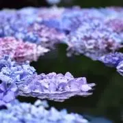 n-moonの画像
