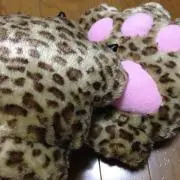 ねこぱんちの画像