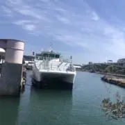 みのりりの画像