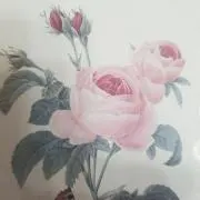 はなママの画像