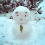 白太郎の画像
