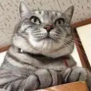 はちみつレモンの画像