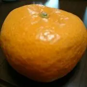 うぃん