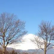 soraの画像