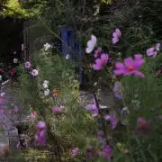 ゆきの画像