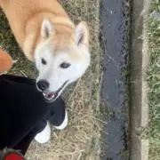 mugiの画像