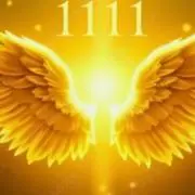 ♡*angel*1111♡の画像