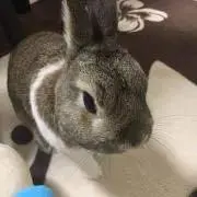 わか(*´꒳`*)の画像