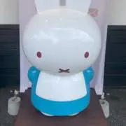 庵アンの画像