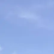 かいの画像
