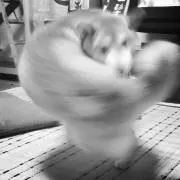 ゆう