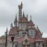 sasa