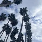 タカハシ