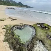 KAME  即購入可能の画像