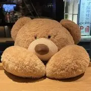 ぽったまの画像