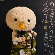 Tomの画像