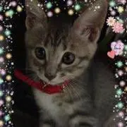 Yuko