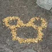ロンの画像
