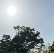 あめ