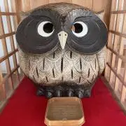 HARU2の画像