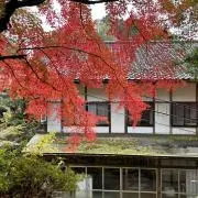 ラジオスティム(酒井医療)着払い【Yuki-t様の値下げ】 ラジオスティム(酒井医療)着払い【Yuki-t様の値下げ】 - メルカリ