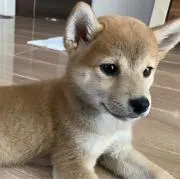 なつ　★セール実施中★の画像