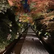 さのささのの画像