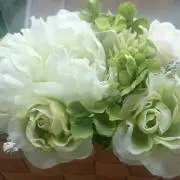 あこ