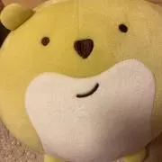 N1