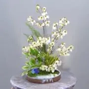 o.n