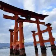たくみの画像