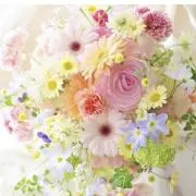 ❀ tarakoプロフご確認ください ❀の画像