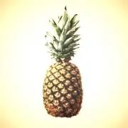 パイナップルボーイの画像