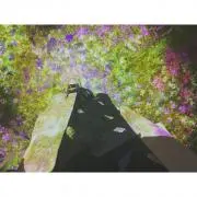 さかもとの画像