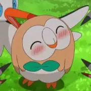 ぬの画像