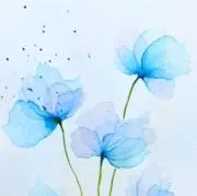 イハナ