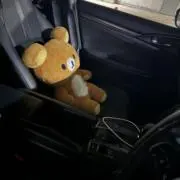 えぴの画像