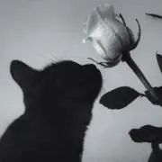 maiの画像