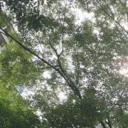 R.の画像