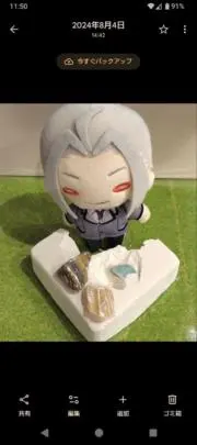 もじゅまる