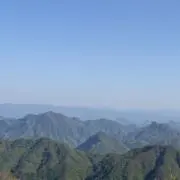 sonaの画像