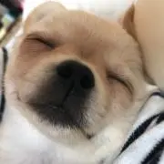 mikkyの画像