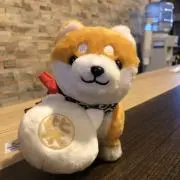 ルーチェ❤️の画像