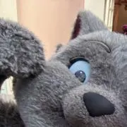 ゆあの画像