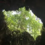 にしまりの画像