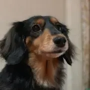 まーちゃんの画像