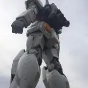 Lの画像