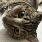 なかたの画像