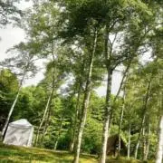 moriの画像