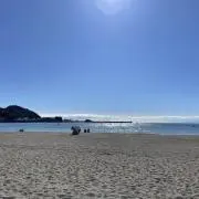 はの画像